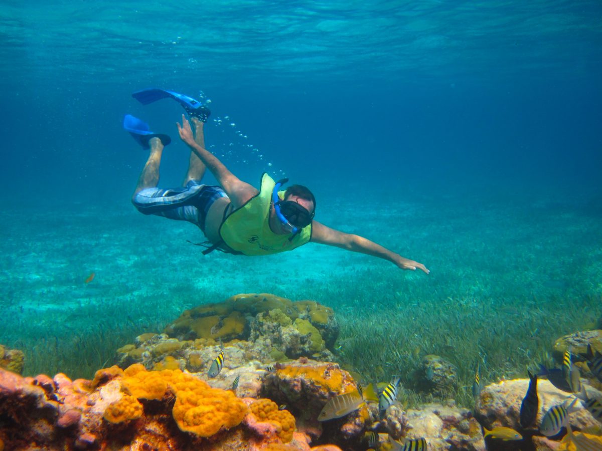 Jamaica Cruise Excursions | Cozumel Columbia Reef