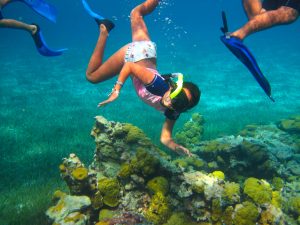 Cozumel Private Snorkeling Palancar Reef