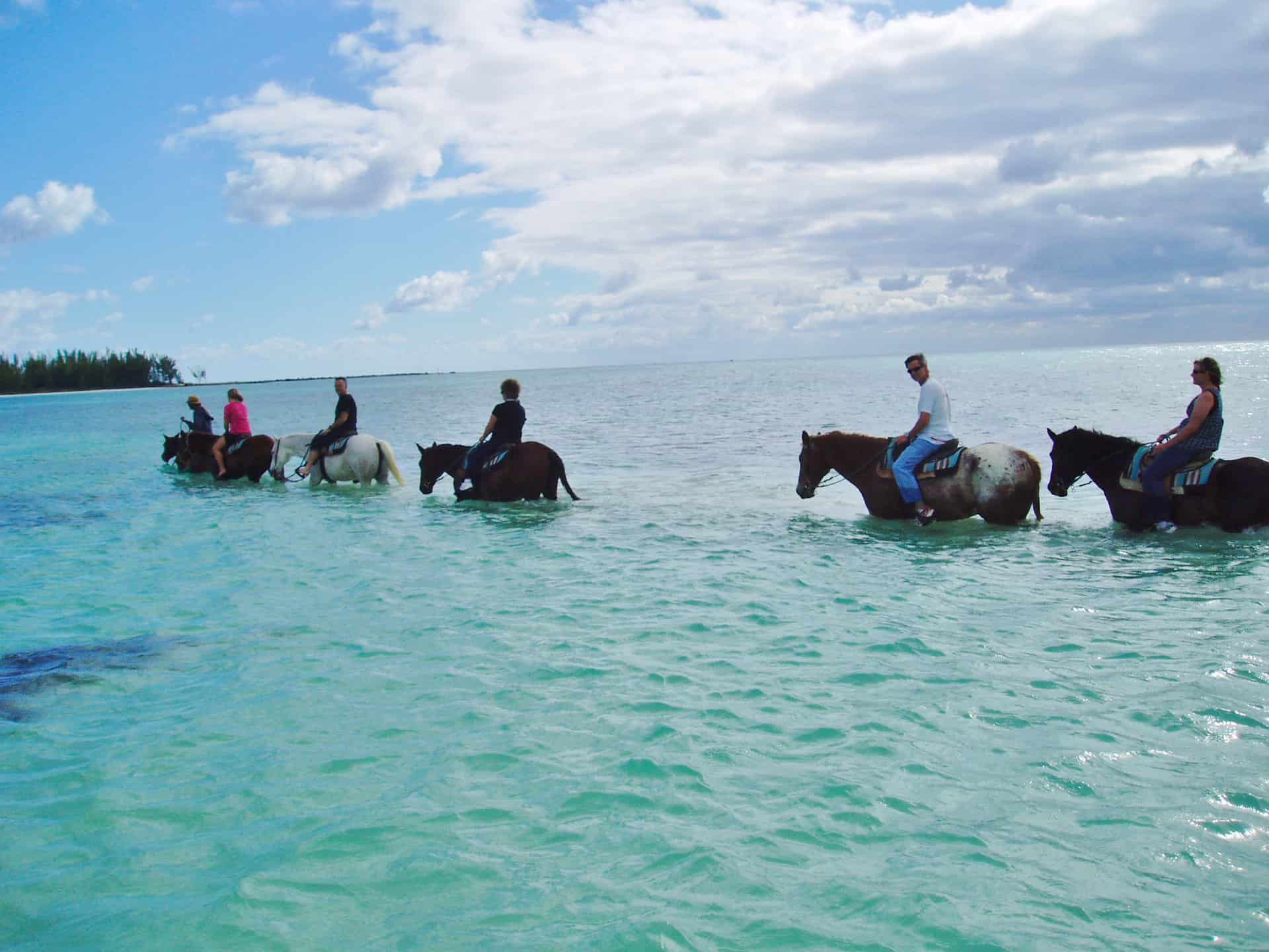 jamaica excursions horseback riding
