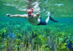 Freeport Private Snorkeling Charters
