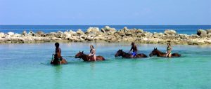 Jamaica horseback MAIN 3