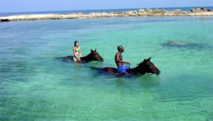 Jamaica horseback riding10