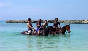 Jamaica horseback riding11