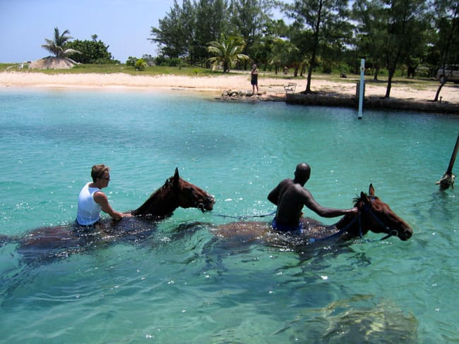 jamaica excursions horseback riding