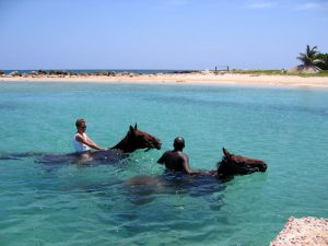 Jamaica horseback riding3