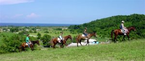 Jamaica horseback riding8