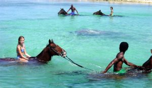 Jamaica horseback riding9