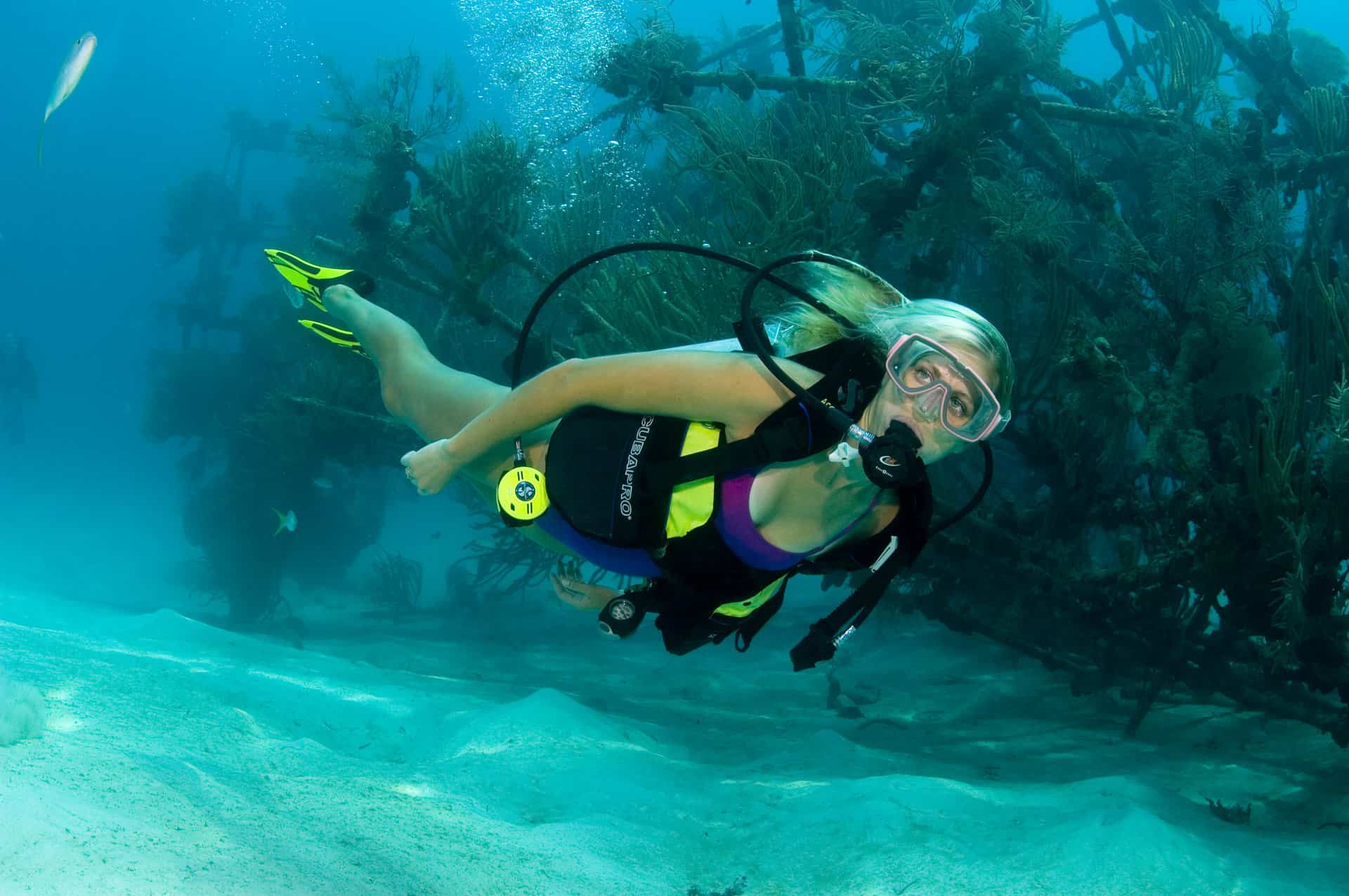 Diving in Nassau