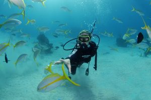 Nassau Discover Scuba Diving
