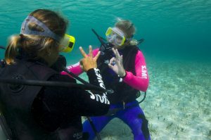 Discover Dive Instruction Nassau