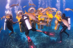 Nassau Mini Sub Divers