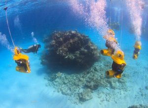 Nassau Mini Sub Reefs