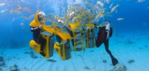 Nassau Mini Sub Underwater Adventure