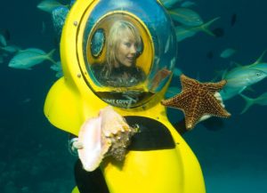Nassau Mini Submarine Star Fish