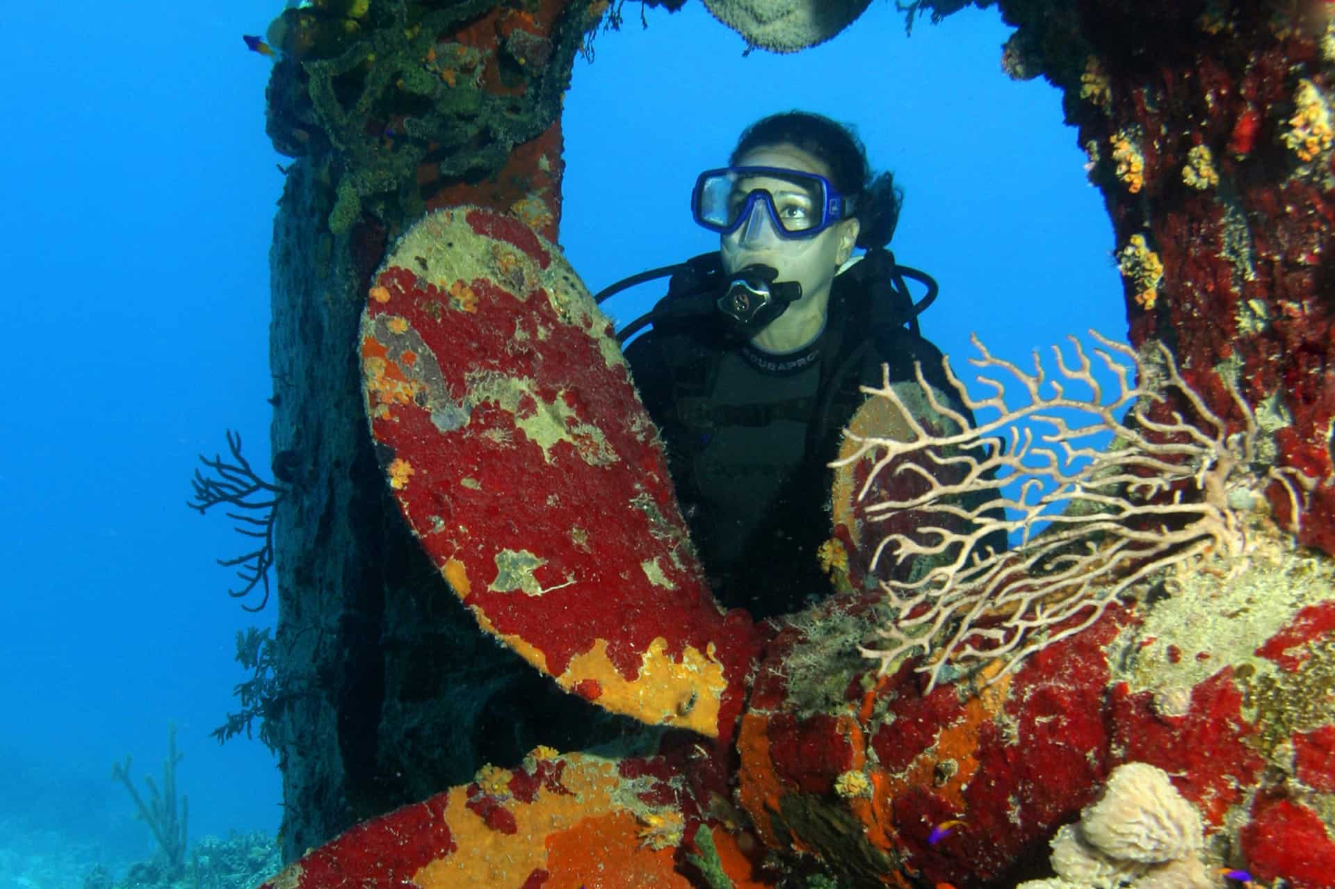 Discover Dive Reef Nassau