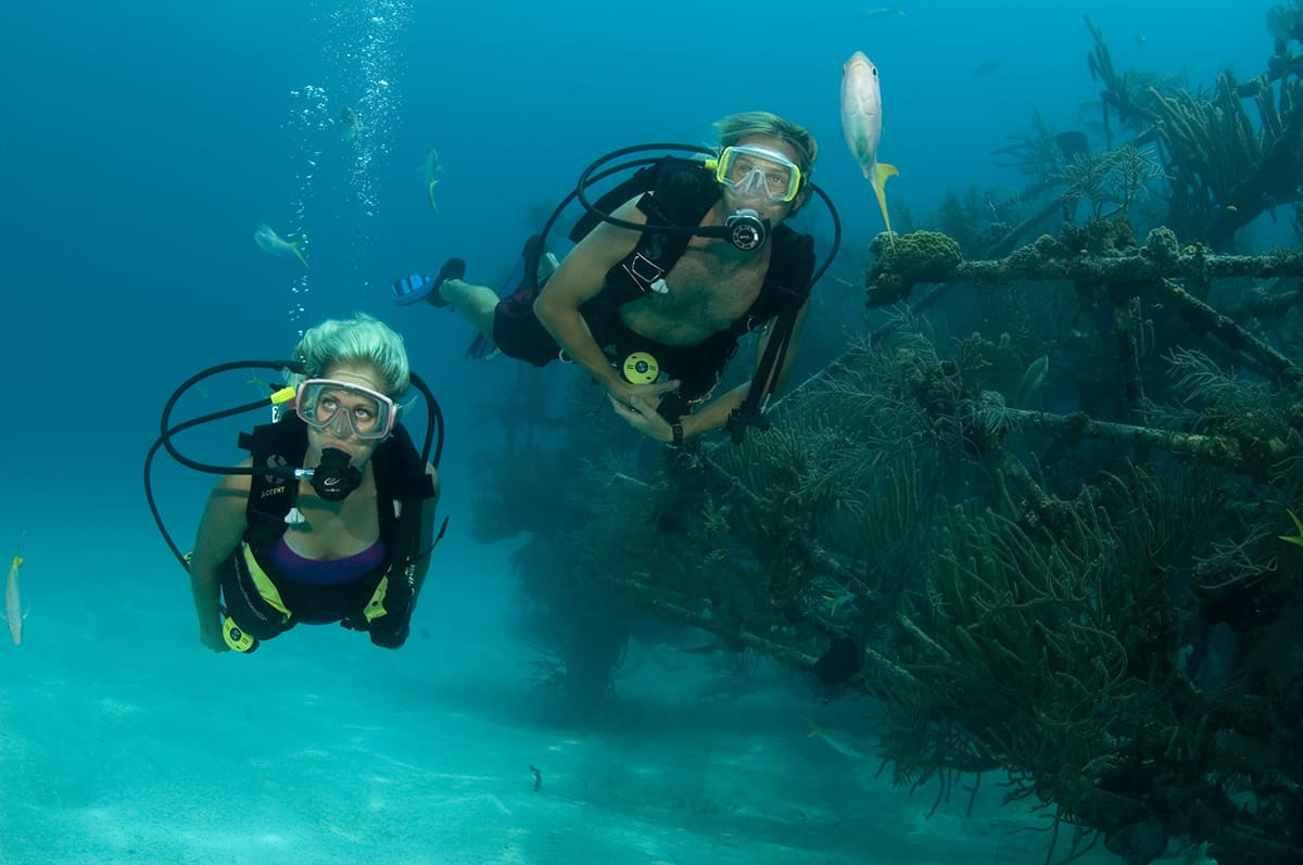 Discover Dive PADI Nassau