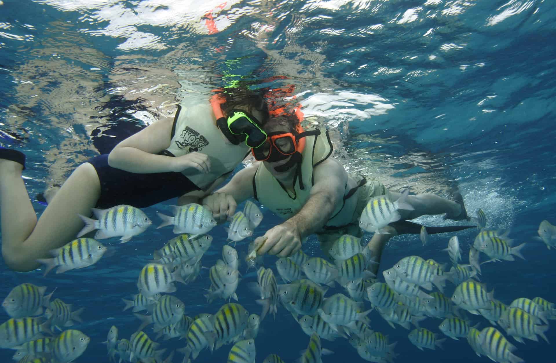 nassau-snorkeling-adventure-sealife - Jamaica Cruise Excursions