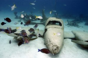 Nassau Snorkeling Airplane Wreck Snorkeling 1