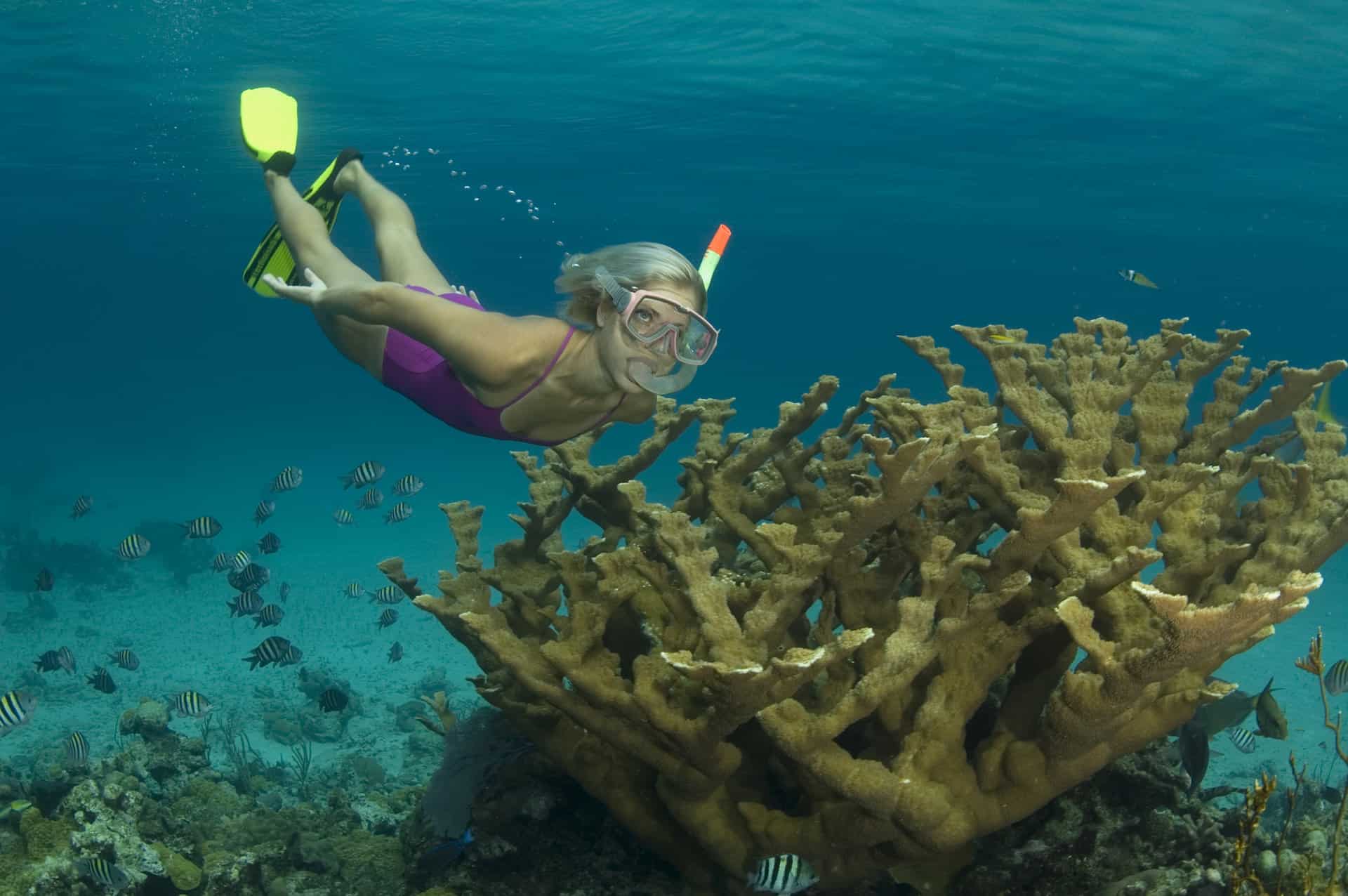Nassau Snorkeling Reef 1