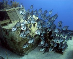 Nassau Ultimate Snorkeling Shipwreck 1