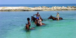 horseback riding jamaica 11