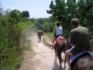 horseback riding jamaica 2