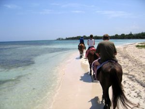 horseback riding jamaica 4