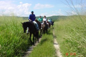 horseback riding jamaica 8