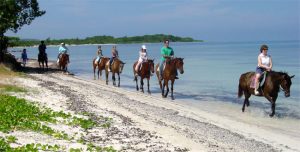 horseback riding jamaica 9